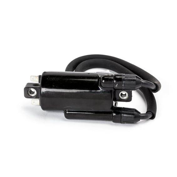 Rick's ignition coil