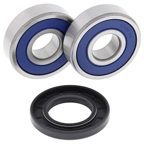 wheel bearing kit, rear