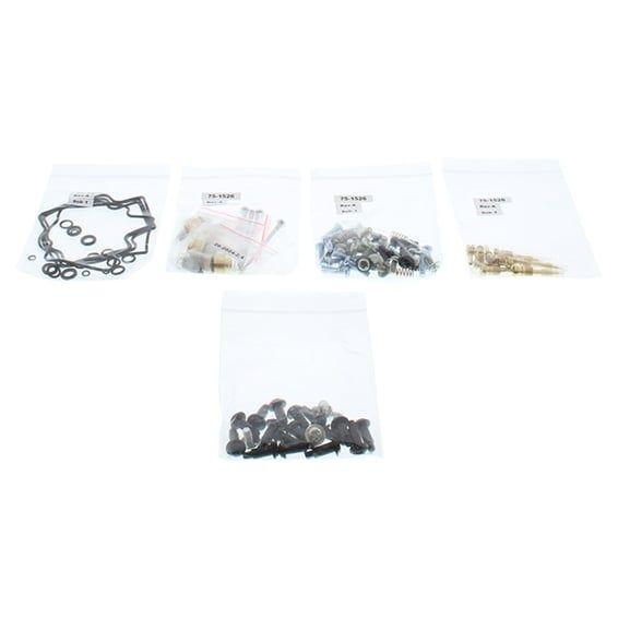 carburetor rebuild kit