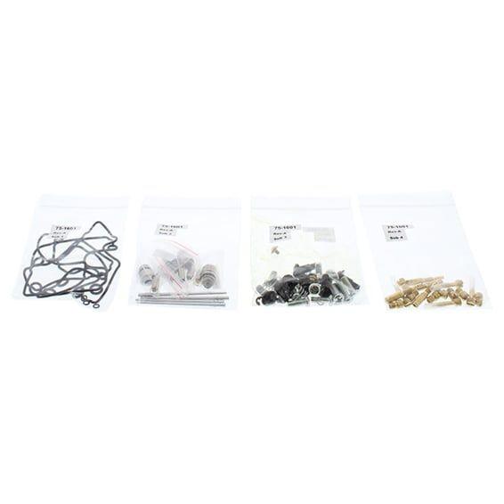 carburetor rebuild kit
